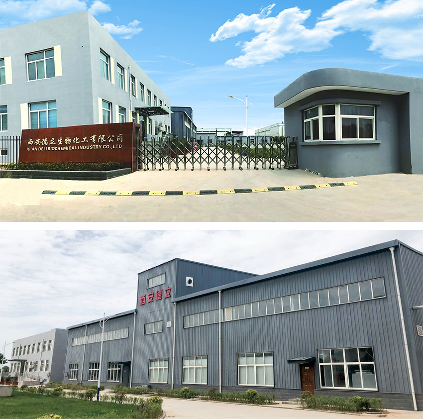 Xi'an Deli Biochemical Industry Co., Ltd.: Vedúce inovácie v derivátoch cyklodextrínu, posilňujúca sa farmaceutický priemysel